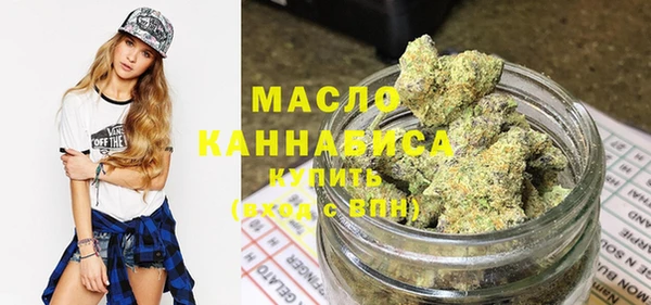 молекула духа Вязьма