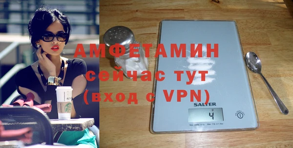 молекула духа Вязьма